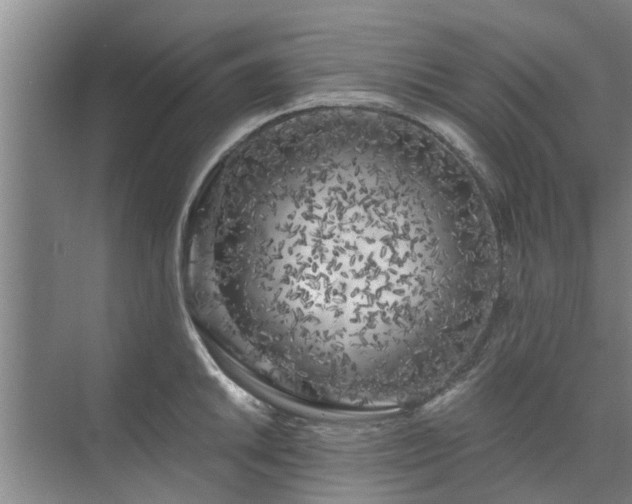 X0000072961046200607282251