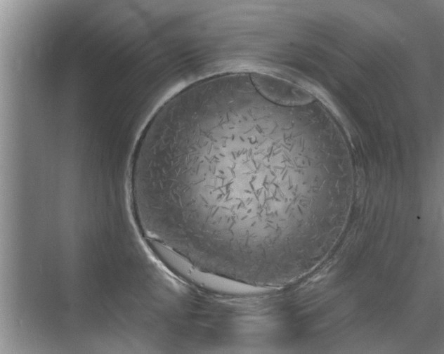 X0000072961048200607282251