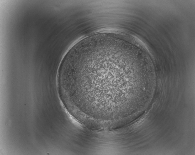 X0000072961050200607282251