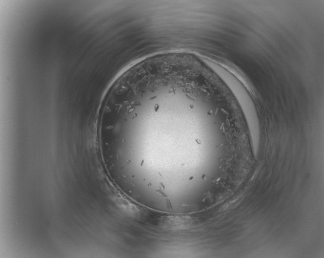 X0000072961052200607282251