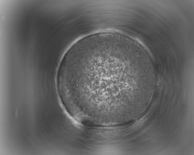 X0000072961054200607282251