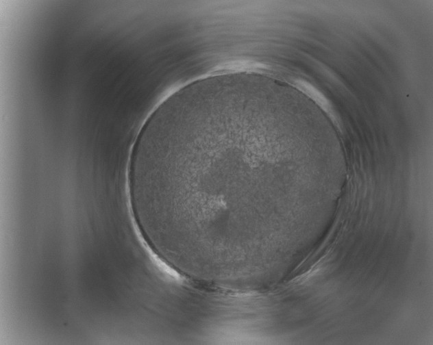 X0000072961055200607282251