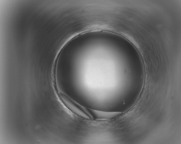 X0000072961056200607282251