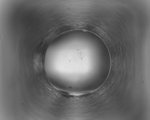 X0000072961058200607282250