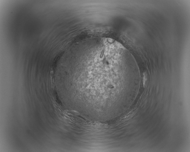 X0000072961059200607282250