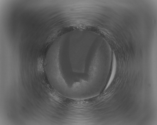 X0000072961060200607282250