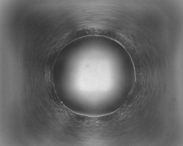 X0000072961061200607282250