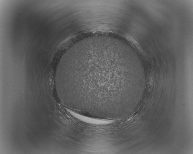 X0000072961063200607282250