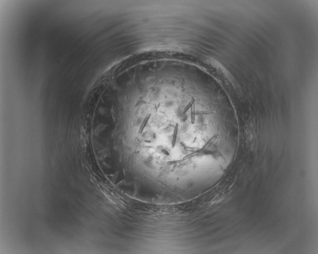 X0000072961064200607282250