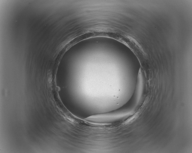 X0000072961065200607282250