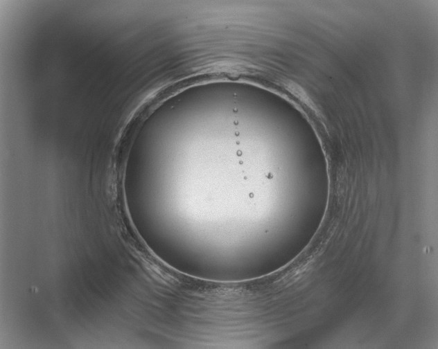 X0000072961067200607282250