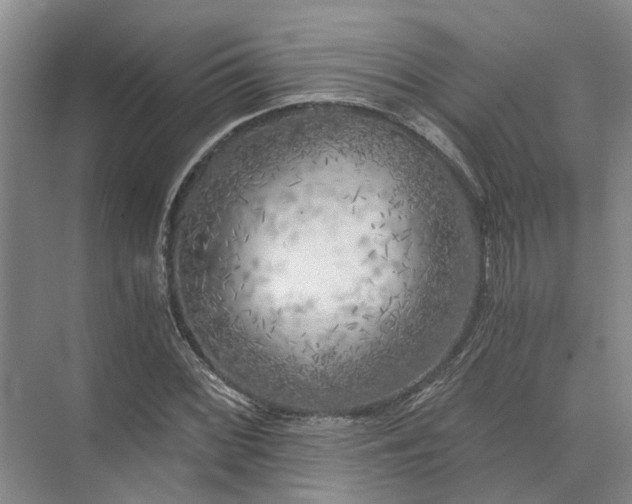 X0000072961068200607282250