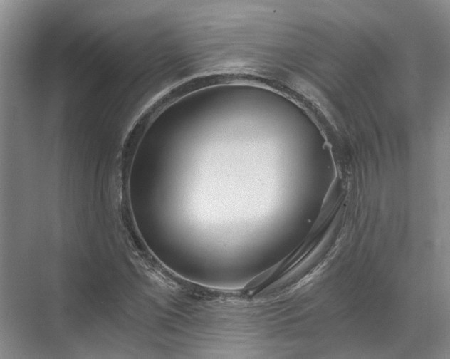 X0000072961069200607282250