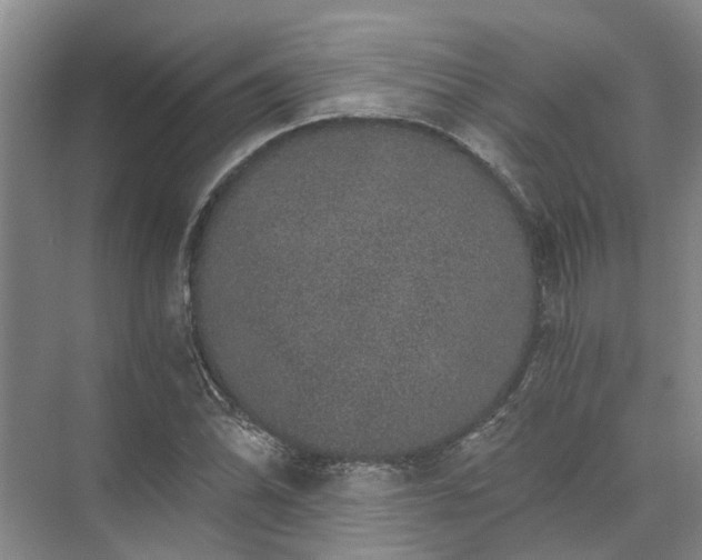 X0000072961070200607282250