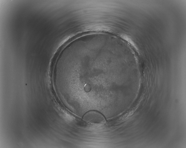 X0000072961071200607282250