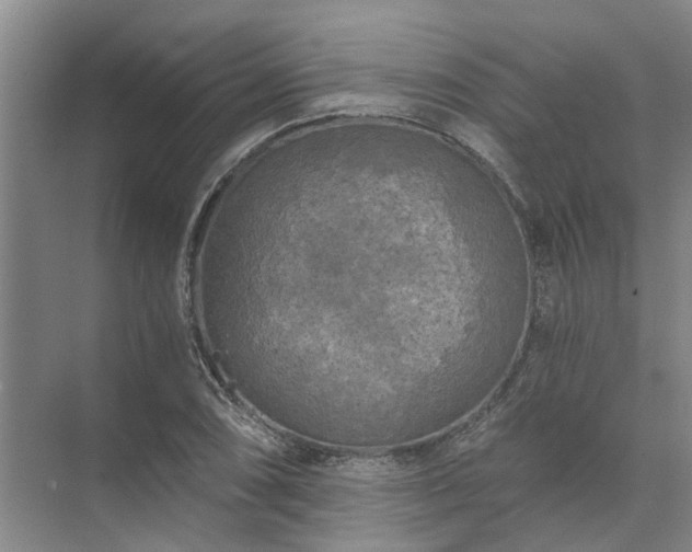 X0000072961074200607282250