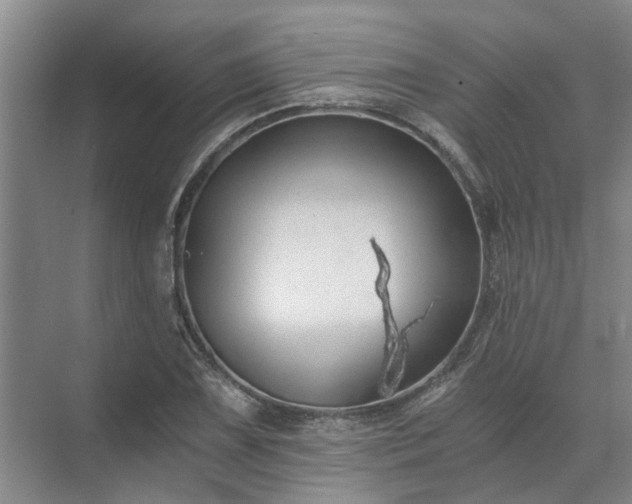 X0000072961075200607282250