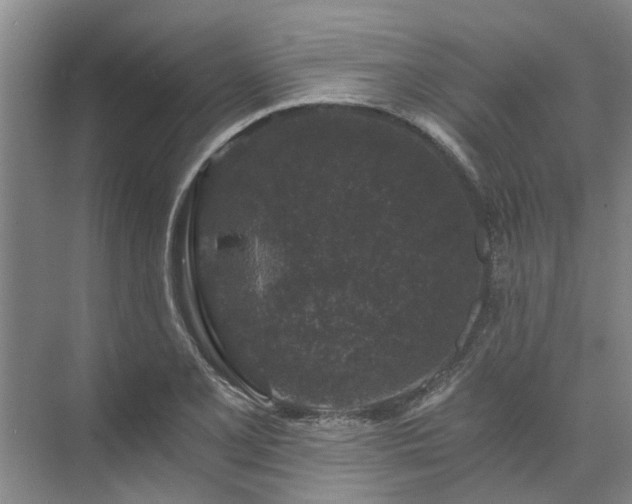 X0000072961077200607282250