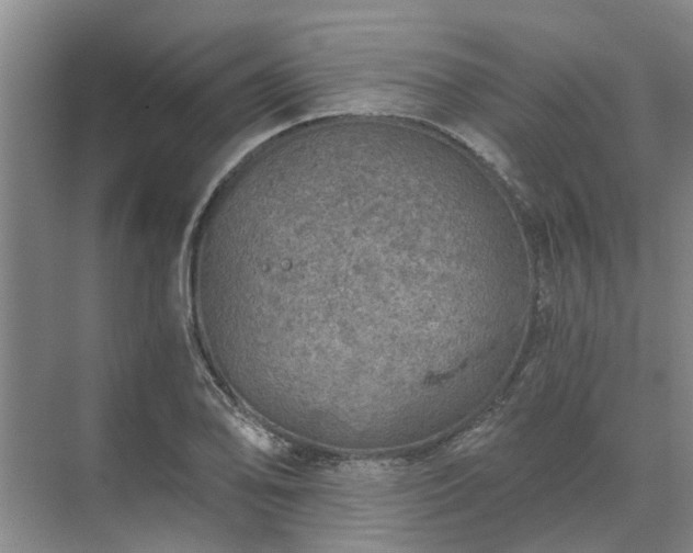 X0000072961078200607282250