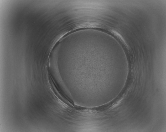 X0000072961081200607282250