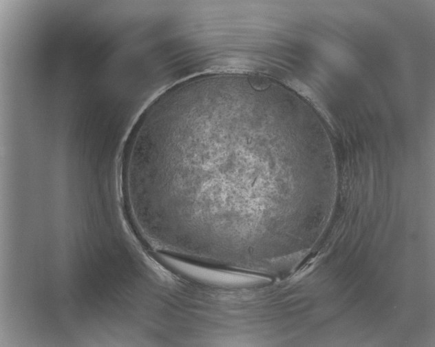 X0000072961083200607282250