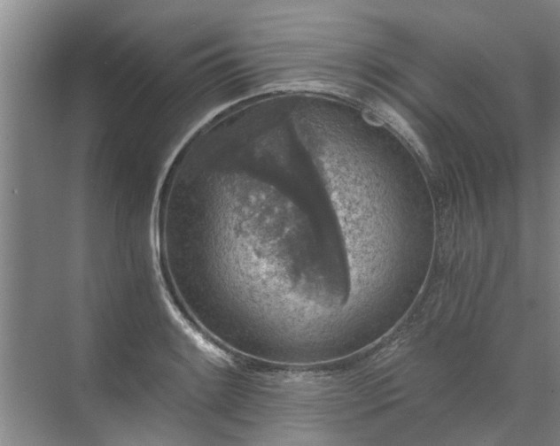 X0000072961084200607282250