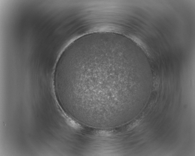 X0000072961086200607282250