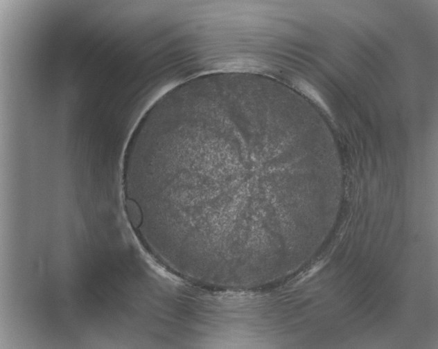 X0000072961087200607282250