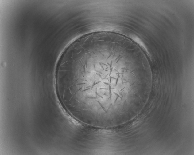 X0000072961088200607282249