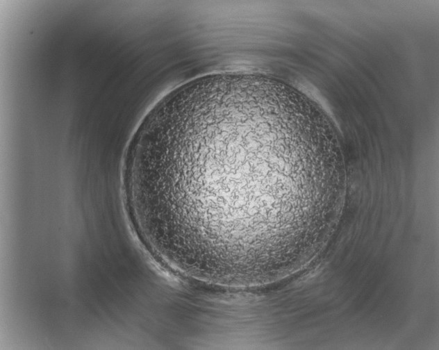 X0000072961091200607282249