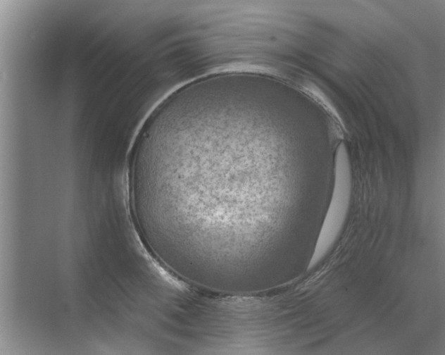 X0000072961092200607282249