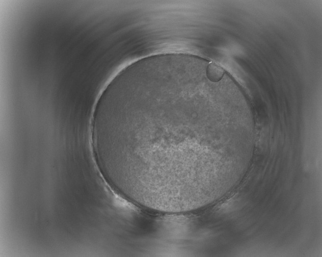 X0000072961094200607282249