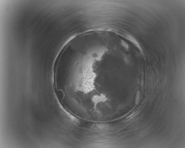 X0000072961095200607282249