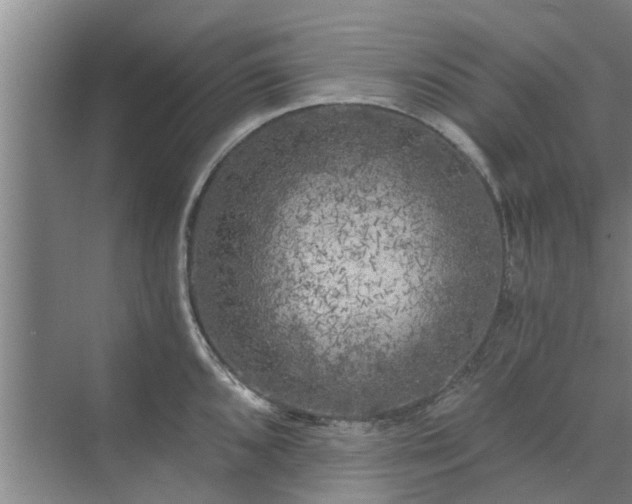 X0000072961096200607282249