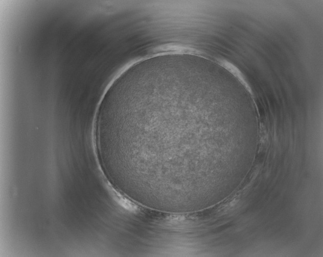 X0000072961098200607282249