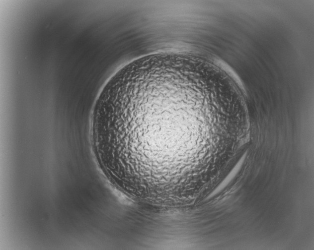 X0000072961099200607282249