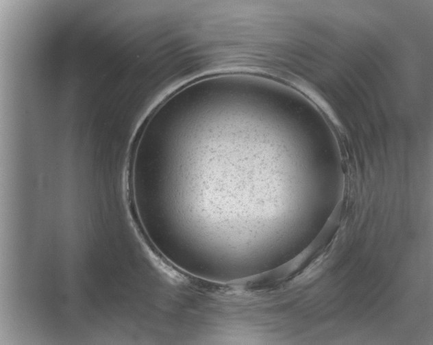 X0000072961101200607282249