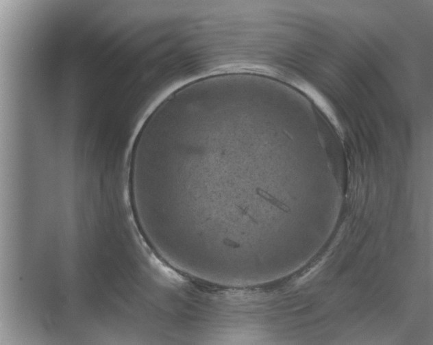 X0000072961102200607282249