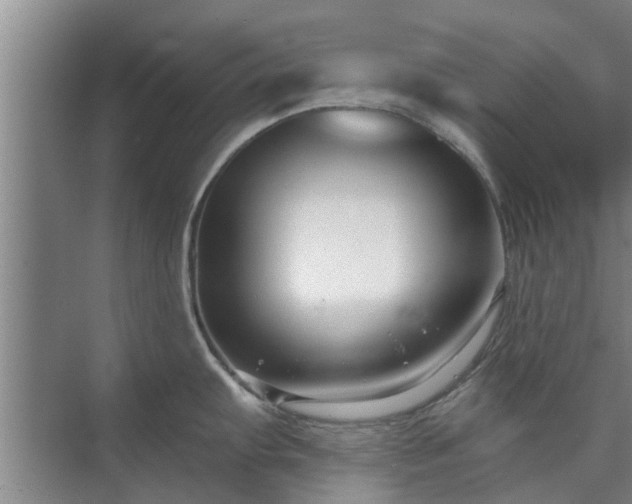 X0000072961103200607282249