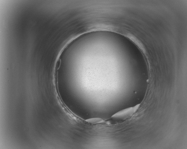 X0000072961104200607282249