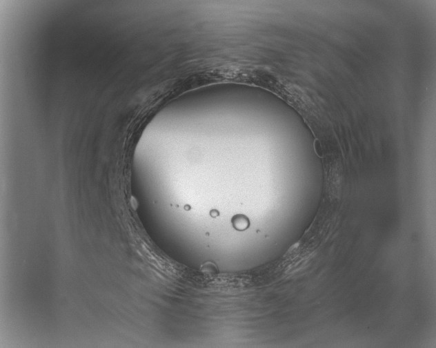 X0000072961105200607282248