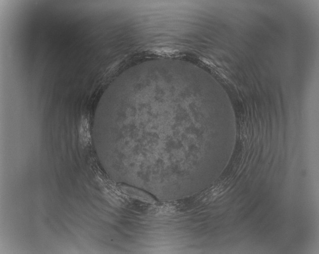 X0000072961106200607282248