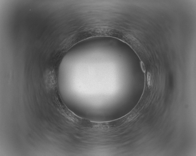 X0000072961107200607282248