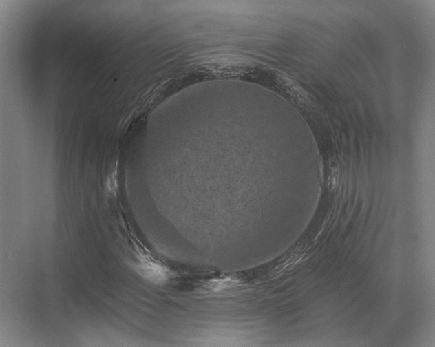 X0000072961108200607282248