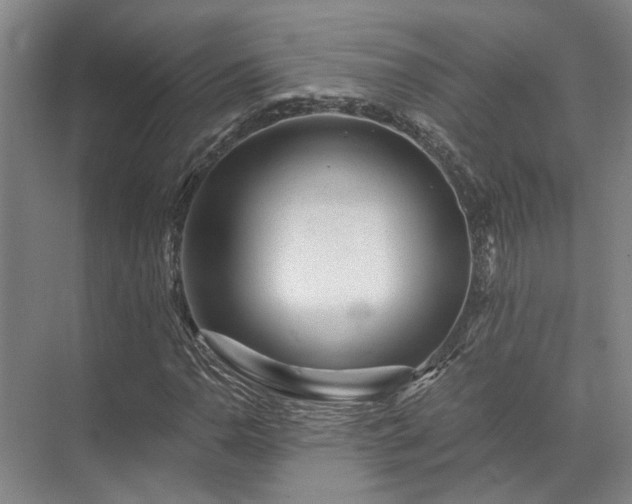 X0000072961110200607282249