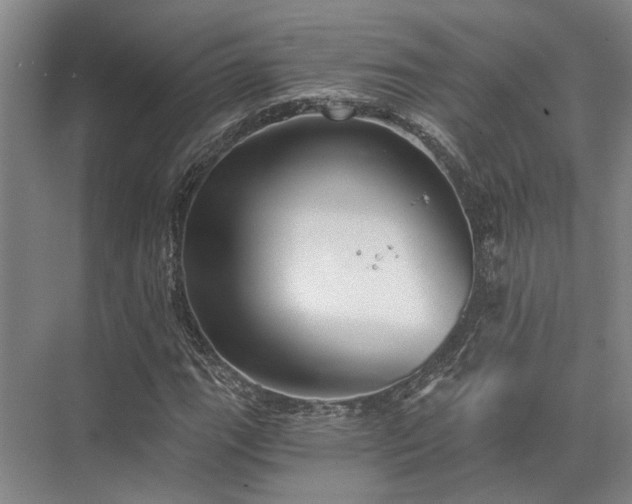 X0000072961111200607282249