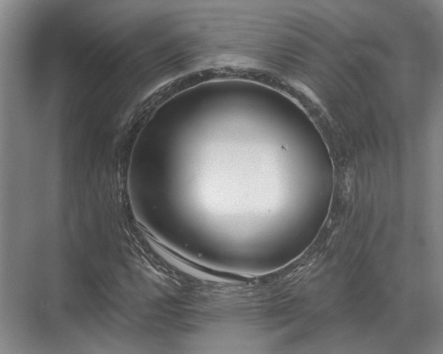 X0000072961112200607282249