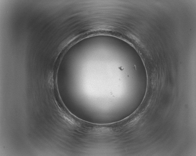 X0000072961113200607282249