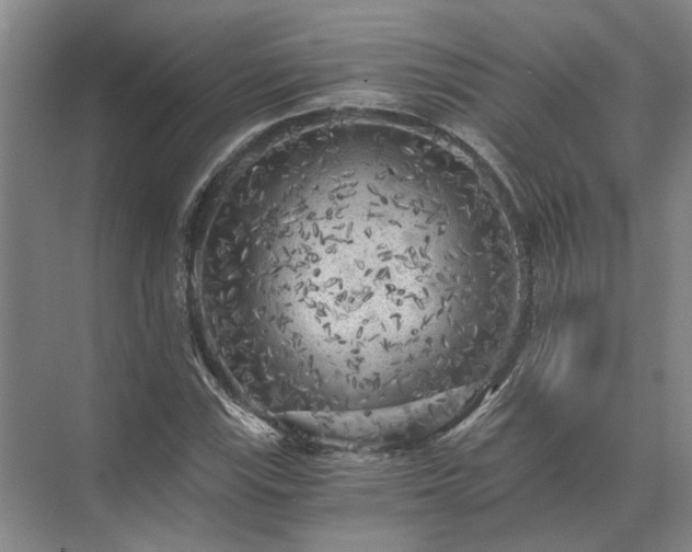 X0000072961115200607282249