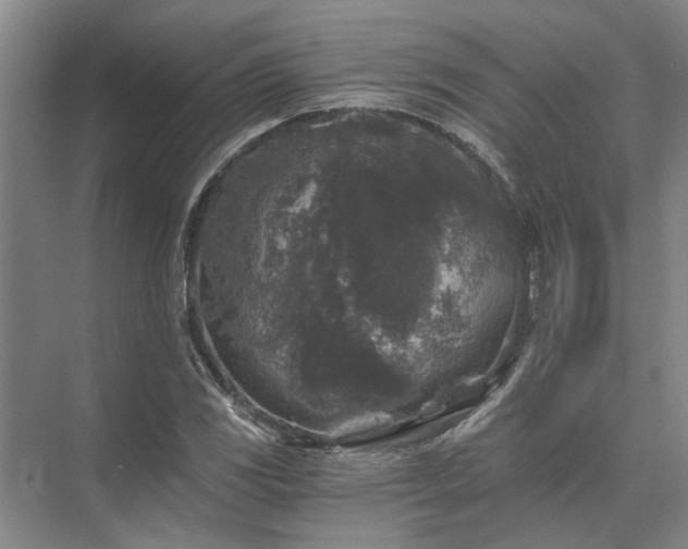 X0000072961117200607282249